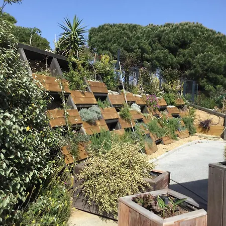 Vanisa * Sainte-Maxime