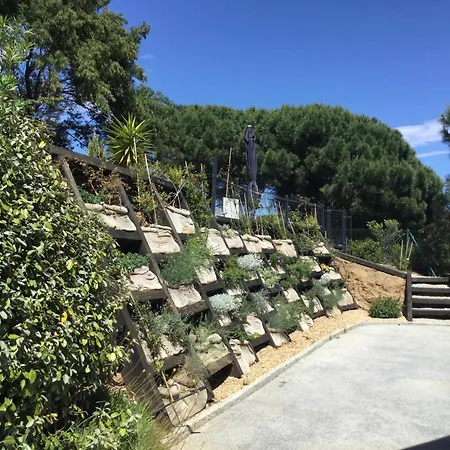 Vanisa * Sainte-Maxime